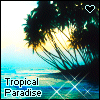 tropical paradise <3
