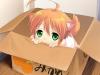Neko Girl in Orange Box