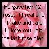 11 fake roses