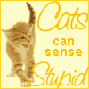 Cats Sense Stupid