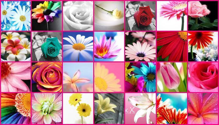 flowers collage