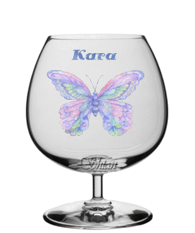 glitter butterflies behind glass Kara