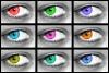 Rainbow Eye Collage