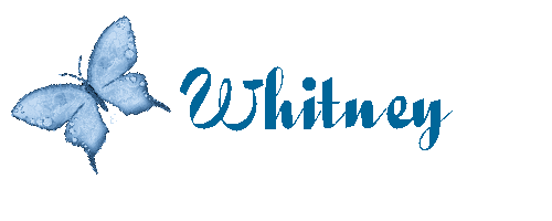 Blue Butterfly for Whitney