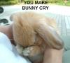 you make bunny cry :)