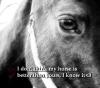 I dont think my horse is better then yours, i know it<3