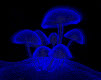 mushrooms-blue