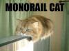monorail cat
