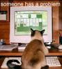 CAT WITH COMPUTER PROBLEM