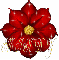 Red Spikey Flower