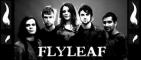 Flyleaf Extended Network Banner