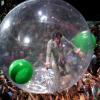 wayne in the bubble