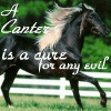 Canter is a Cure