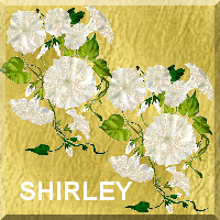 Shirley