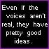 Even if the voices aren't real, they have pretty good ideas.