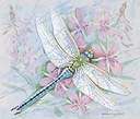 Light Pink and Light Blue Dragonfly