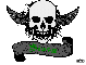 sissy black/green skull