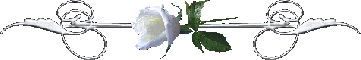 white rose divider