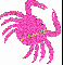 Bethany Pink Crab with Hearts