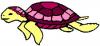 swimming turtle pink