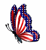 red,white,and blue bufferfly