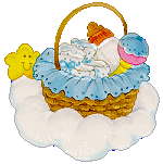 Baby basket