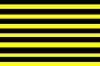 yellow and black stripes