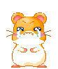 cute hamster crying