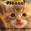 please think of the kittens