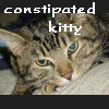 constipated kitty