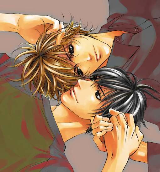 cute shouen ai couple!