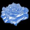 waxy blue rose