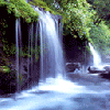 Cute Flowing Waterfalls