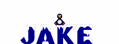 penguin spinning in middle of Jake