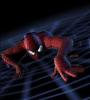 spiderman on web