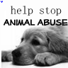 Stop animal abuse NOW!!
