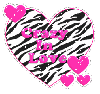 zebra heart - crazy in love