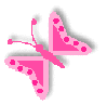 A Pink Butterfly