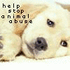 help stop animal abuse