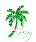 Palm Tree - Perry