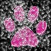 pink paw frosted