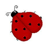 Ladybug with Name
