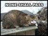 none shall pass!