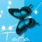 blue butterfly Tara