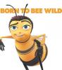 Born To Bee Wild