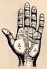 palmistry hand diagram